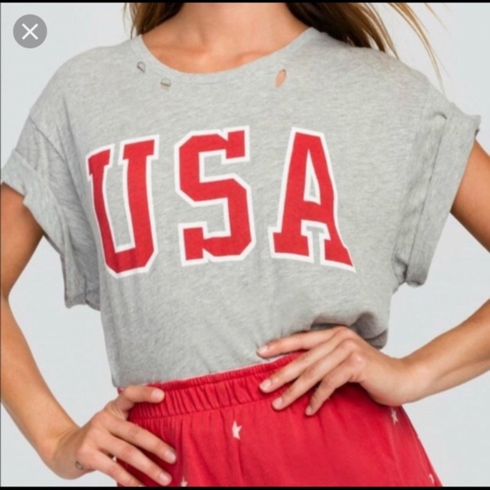 Wildfox USA distressed Tee